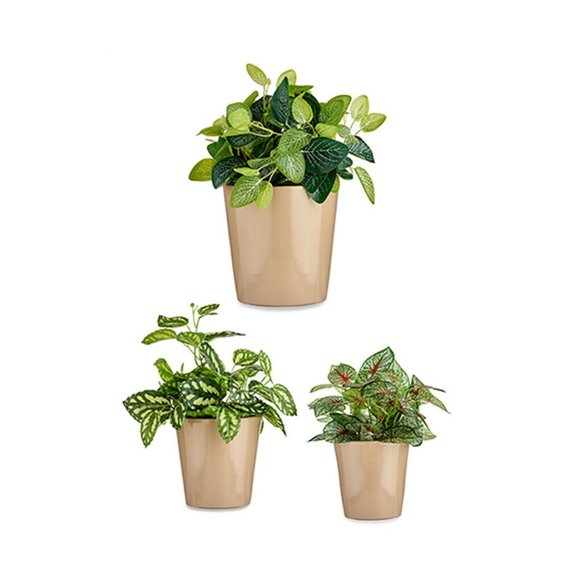 V11HE91F2FE3616550850A3E09A3B95C32CBR7126567P2