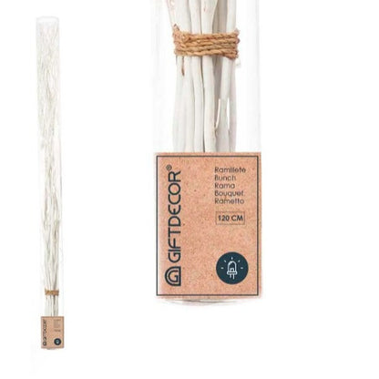 V6H49A50003F335B451E207A93AA69DC362R3235803P2