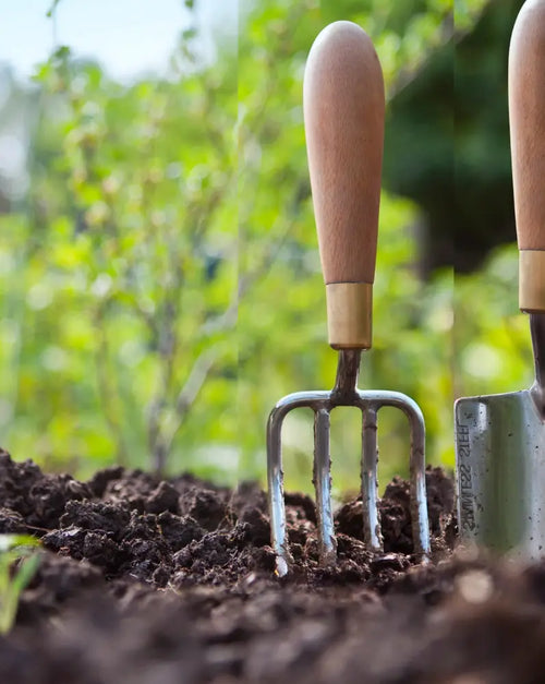 Jardim com ferramentas de jardinagem